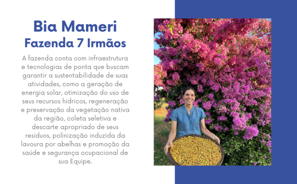 Doce de Leite - Imagem 3